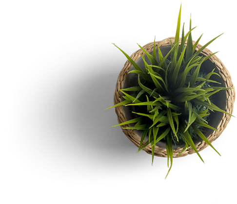 briansclub flowerpot